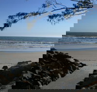 Shark Bay - Surfers Paradise Gold Coast