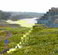 Station Creek - Surfers Paradise Gold Coast