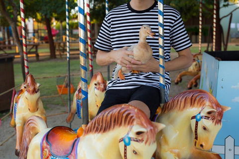 Swan Valley Cuddly Animal Farm - Surfers Paradise Gold Coast 2