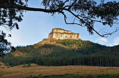 The Scenic Rim Way - Surfers Paradise Gold Coast 2