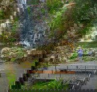 The Falls Walk Budderoo National Park - Surfers Paradise Gold Coast