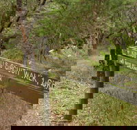 Waterfall Gully - Kings Falls Circuit Walk - Surfers Paradise Gold Coast
