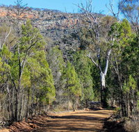 Weddin Gap to Black Spring Loop Trail - Surfers Paradise Gold Coast