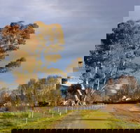 Adelong Falls Walk - Surfers Paradise Gold Coast