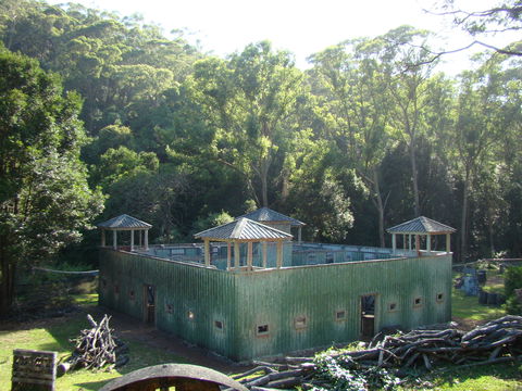 Alpha Paintball - Surfers Paradise Gold Coast 0