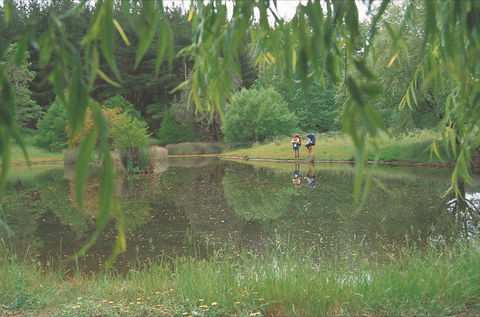 Balingup - Surfers Paradise Gold Coast 1