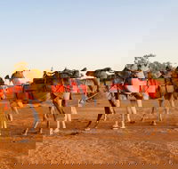 Broken Hill Camels - Surfers Paradise Gold Coast