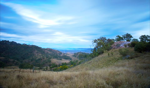 Burning Mountain Nature Reserve - Surfers Paradise Gold Coast 0