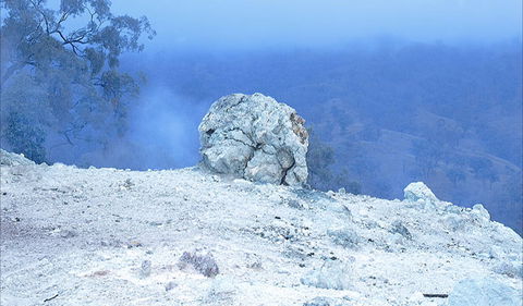 Burning Mountain Nature Reserve - Surfers Paradise Gold Coast 1