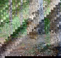 Delta Track - Surfers Paradise Gold Coast