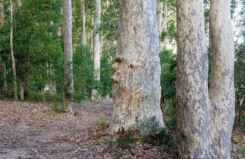 Delta Track - Surfers Paradise Gold Coast 0