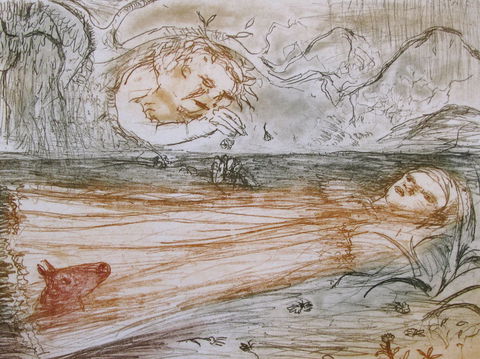 Falls Gallery - Surfers Paradise Gold Coast 0