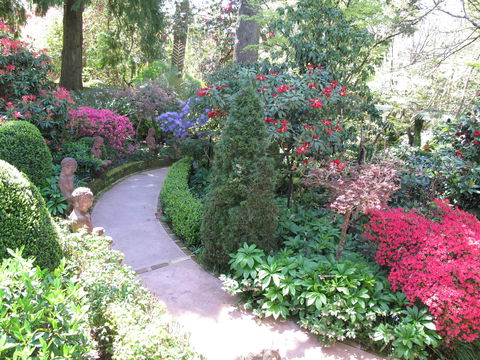 Falls Gallery - Surfers Paradise Gold Coast 1