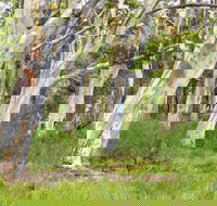 Freshwater track - Surfers Paradise Gold Coast