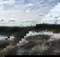 Gwydir Wetlands Moree - Surfers Paradise Gold Coast