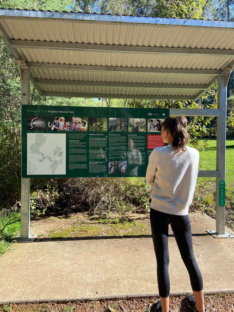 Jehosaphat Gully Picnic Area - Surfers Paradise Gold Coast 0