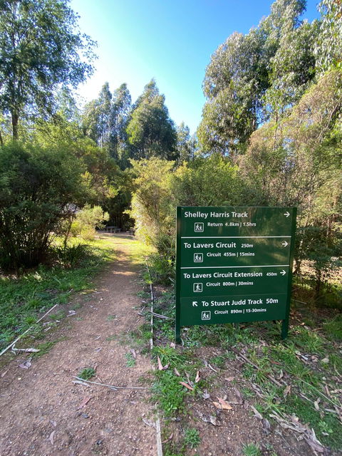 Jehosaphat Gully Picnic Area - Surfers Paradise Gold Coast 2