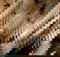 Jillabenan Cave - Surfers Paradise Gold Coast