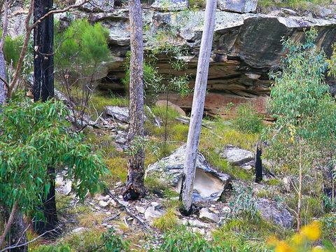 Ka Ka Mundi, Carnarvon National Park - Surfers Paradise Gold Coast 1