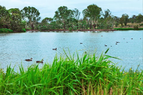 Lake Apex Park - Surfers Paradise Gold Coast 1