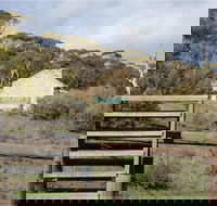 Lenger Reserve - Surfers Paradise Gold Coast