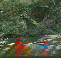 Maribyrnong River - Surfers Paradise Gold Coast