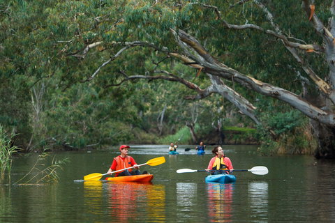 Maribyrnong River - Surfers Paradise Gold Coast 0