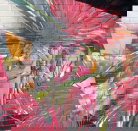 Mokoan Rest Stop Northbound - Surfers Paradise Gold Coast