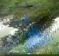 Mullion Range State Conservation Area - Surfers Paradise Gold Coast