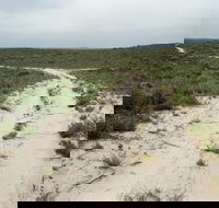 Ngarkat Conservation Park - Surfers Paradise Gold Coast
