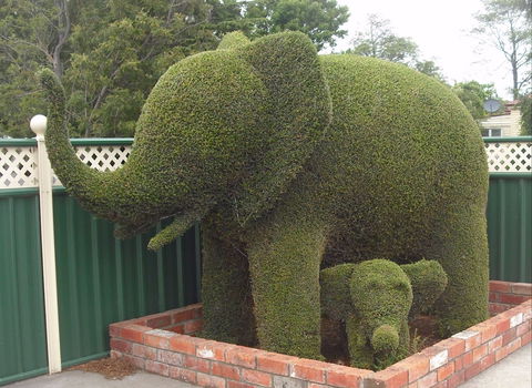 Railton: Town Of Topiary - Surfers Paradise Gold Coast 0