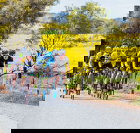 The Heron's Highway - Avon River Cycle Trail - Surfers Paradise Gold Coast