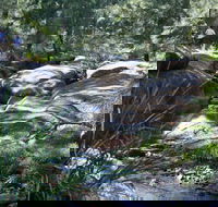 Towarri National Park - Surfers Paradise Gold Coast