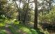 Turon National Park - thumb 0