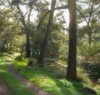 Turon National Park - Surfers Paradise Gold Coast