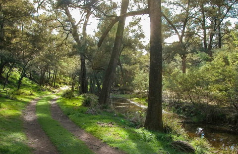 Turon National Park - Surfers Paradise Gold Coast 0