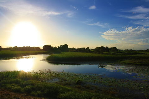 TYTO Wetlands - Surfers Paradise Gold Coast 0