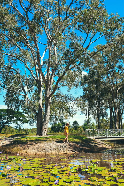 TYTO Wetlands - Surfers Paradise Gold Coast 1