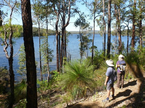 Wellington Discovery Forest - Surfers Paradise Gold Coast 0