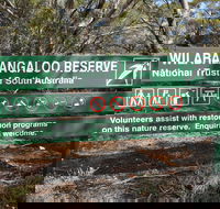Wilabalangaloo Reserve - Surfers Paradise Gold Coast