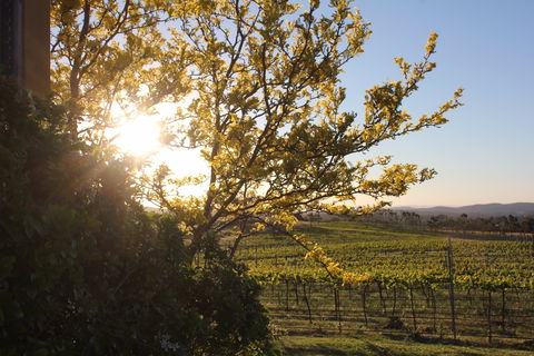 Wine Trail: Queanbeyan-Palerang - Surfers Paradise Gold Coast 1