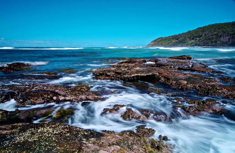 Wyrrabalong National Park - Surfers Paradise Gold Coast 0