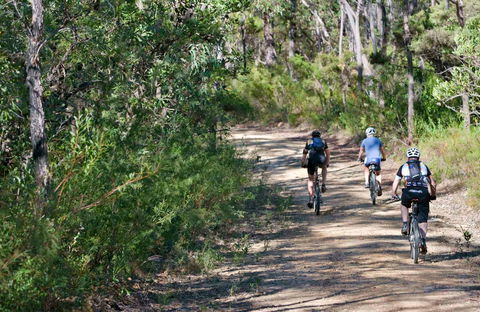 Andersons Trail - Surfers Paradise Gold Coast 0