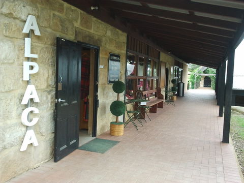 Australian Alpaca Barn - Pokolbin - Surfers Paradise Gold Coast 0