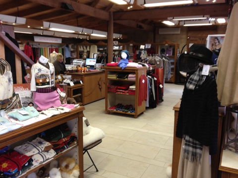 Australian Alpaca Barn - Pokolbin - Surfers Paradise Gold Coast 1