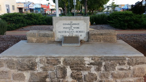 Barmera Horse Trough - Surfers Paradise Gold Coast 0