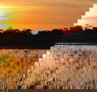 Bool Lagoon Game Reserve and Hacks Lagoon Conservation Park - Surfers Paradise Gold Coast