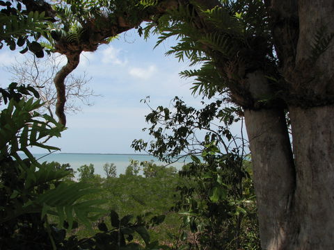 Channel Point Coastal Reserve - Surfers Paradise Gold Coast 0