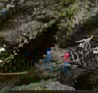 Day trips from Rockhampton - Surfers Paradise Gold Coast