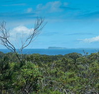 Forest Walking Track Crowdy Bay National Park - Surfers Paradise Gold Coast